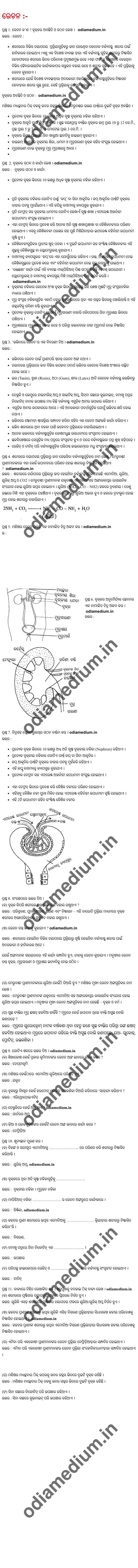 Odisha Class 10 Life Science question answer Chapter 4 Excretion Rechana