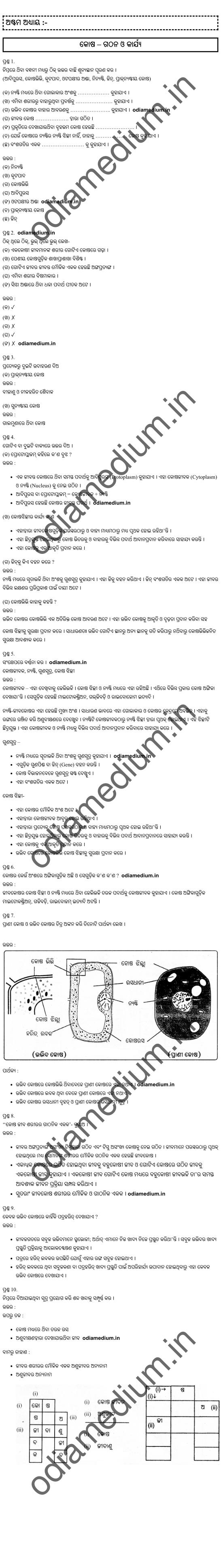 odia medium class 8 science question answer chapter 8